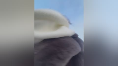 Media: A blurred video of a fluffy, white, and grey animal, possibly a cat or dog, lying on a dark, furry blanket. The background is a bright, clear blue sky.