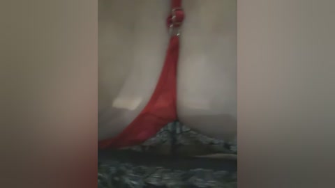 Media: A blurred video featuring a close-up of a woman's lower torso, wearing red lingerie with metal clasps, positioned on a textured, dark surface.