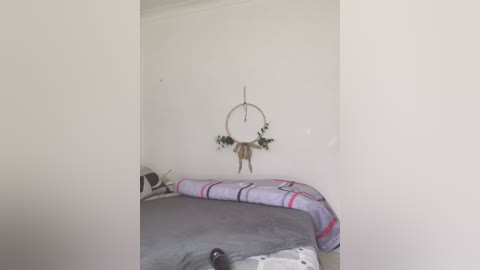 A video of a minimalist, off-white bedroom with a grey bed, a striped quilt, and a hanging dreamcatcher adorned with green leaves.