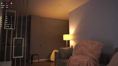 Media: Video of a dimly-lit, modern living room with beige walls, a gray couch, a yellow lamp, and a black floor lamp, featuring a white bookshelf on the left.