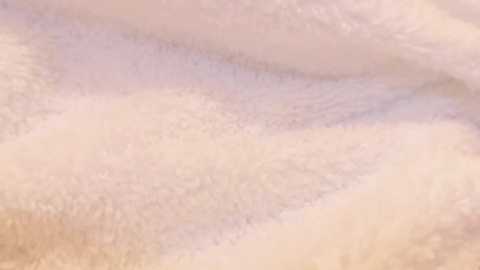 Media: This is a close-up video of a light beige, fluffy material, likely fabric or fur, with a soft, velvety texture and gentle folds. The image captures the fine details and gentle undulations of the surface.