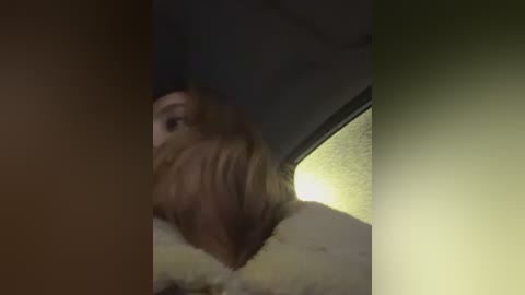 Media: A video shows a close-up of a person's face, partially obscured by a furry creature's head, possibly a dog or cat, in a dimly lit car interior.