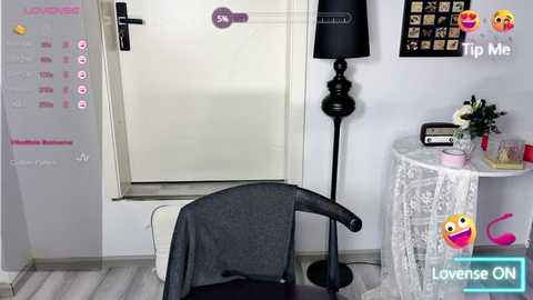 Media: A video of a modern bedroom with a grey desk chair, a black lamp, a small white table, and a door with a \"LOVENSE ON\" sticker; a pink heart emoji watermark is visible.