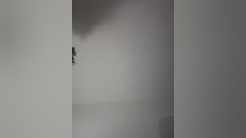 Media: Video of a minimalist, monochromatic interior space featuring a single, small, dark object (possibly a bird) silhouetted against a smooth, white wall. The room has a soft, diffused lighting, enhancing the stark contrast between the dark object and the light background.