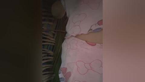 Media: Video of a baby sleeping on a white, heart-patterned blanket with pink accents, lying on a woven mat. The baby's face is not visible, and the background is dimly lit, suggesting a cozy, intimate setting.