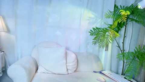 Media: A video depicts a cozy living room with a cream-colored couch, white curtains, a green fern plant, a lamp, and a bookshelf, creating a serene and elegant atmosphere.