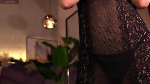 Video of a woman in black lace lingerie, standing in a dimly lit living room with a fireplace, plants, and framed artwork on the wall.