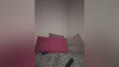 Media: A dimly lit video of a corner of a messy bedroom. A bed with a leopard-print duvet is covered in pillows of various shades, including pink and beige. A remote control lies on the bed.