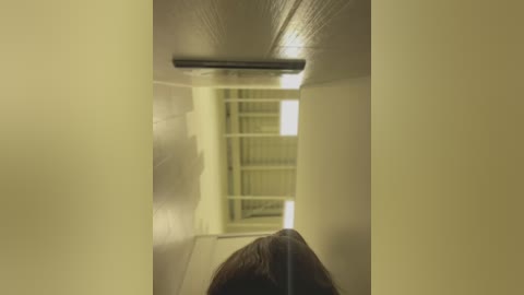 Media: A video of a narrow, dimly lit hallway with beige walls and a low, white ceiling. The image focuses on a person's head, hair partially visible, descending the stairs.