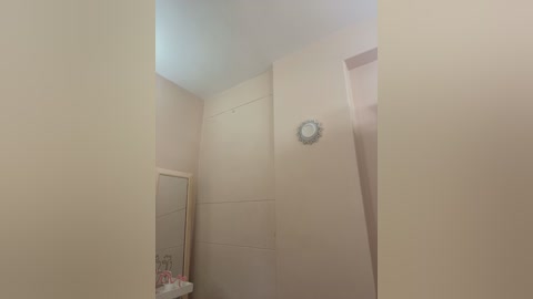 Media: Video of a small, narrow bathroom with beige walls, a framed mirror, and a small round clock on the wall. The room is sparsely decorated with minimalistic decor.