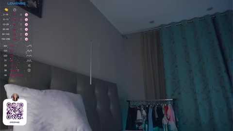 Media: A video of a dimly lit bedroom with a dark upholstered headboard, white pillow, teal curtains, and a metal coat rack with hanging clothes. A \"LOVE\" icon and a QR code are visible in the top left corner.