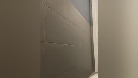 Media: Video of a modern bathroom with large, smooth, grey ceramic tiles covering the wall, extending to the floor, and white baseboard trim at the bottom. The wall appears clean and minimalistic.