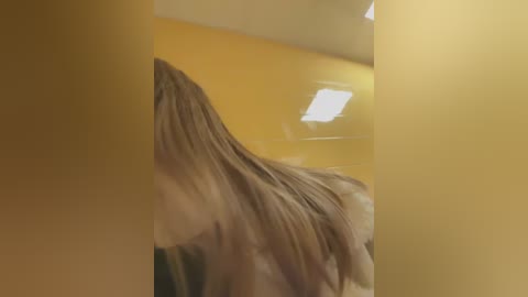 Media: A blurry video of a horse with a long, flowing mane, standing in a room with yellow walls and a fluorescent light. The image is slightly out of focus, giving a soft, dreamy effect.