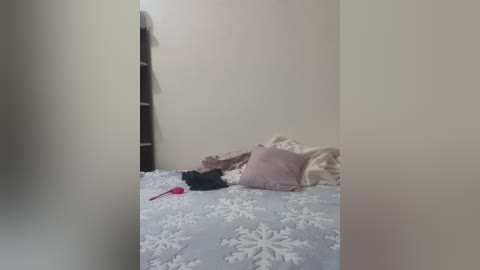 Media: Video of a small, cluttered bedroom with a beige wall, a bed covered in a light blue blanket with white snowflake patterns, a red vibrator on the floor, and a pink pillow.