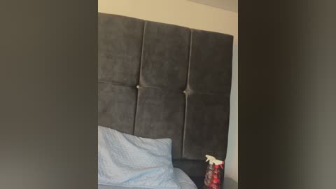 Media: Video of a modern bedroom with a gray, tufted, padded headboard against a beige wall. The bed has a light blue, textured comforter and a red and white cleaning spray bottle on the nightstand.