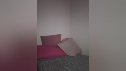 Media: A video of a small, dimly lit corner room with a single bed against a white wall. The bed is covered in a pink blanket and a gray sheet, with a beige pillow and a pink pillow. The room has a minimalist, sparse appearance.