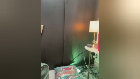 Media: A video of a small, dimly lit room with a black curtain, a green chair, a small white table with a lamp emitting green light, and a partially visible floral pillow.