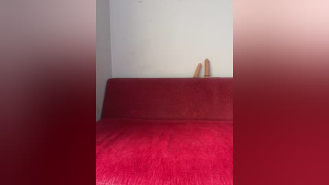 Video of a small, empty room with a red couch against a white wall, featuring two wooden sticks against the wall in the background. The room's lighting is dim, giving it a somber, minimalist feel.