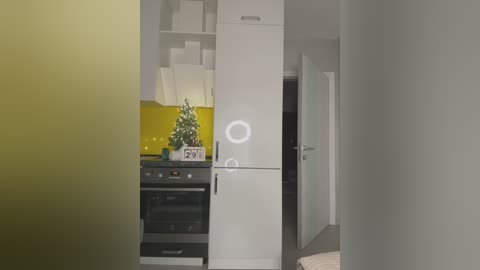 Media: A video of a modern kitchen with a bright yellow backsplash, white cabinets, a stainless steel refrigerator, and a small potted plant.