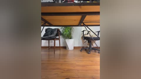 Media: Video of a modern office space with wooden flooring, a black desk with a white planter and green plant, two black ergonomic chairs, and a blurred foreground.