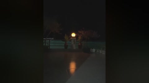 Media: A dimly lit nighttime video captures a lone figure in a bright yellow jacket standing near a small structure with a glowing light source, reflected in the water, surrounded by greenery and distant trees.