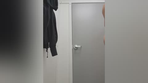 Media: Video of a dimly lit, modern bathroom with a gray door, a black jacket hanging, and a blurred figure partially visible on the right.