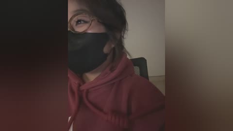 Media: Video of a woman with glasses and a black face mask, wearing a maroon hoodie, partially obscured by a dark shadow.