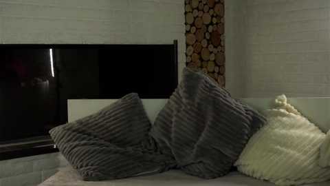 Media: Video of a cozy bedroom with a grey and white striped blanket, a beige pillow, a stacked woodpile, and a black TV on the white brick wall.