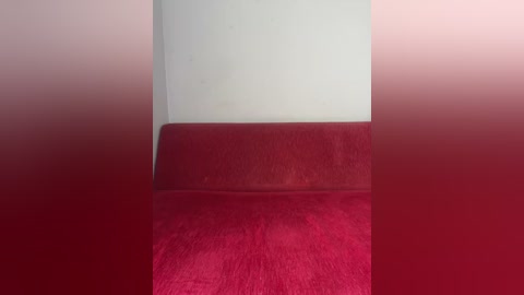 Media: A video of a red velvet couch with a smooth, plush texture, set against a plain, light gray wall, creating a stark contrast. The image is slightly blurred, giving it a dreamy, almost ethereal quality.