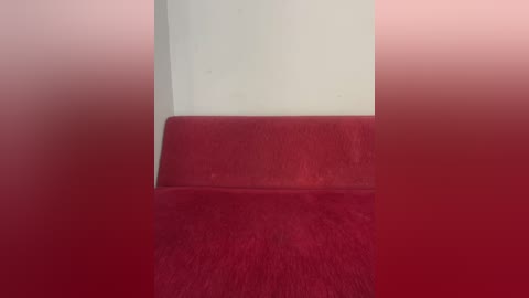 A video featuring a red velvet seat cushion placed against a white wall, creating a sharp contrast. The texture of the velvet is soft and plush, with a slight sheen.