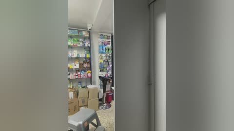 Media: Video of a sparsely furnished room with white walls and beige floor, featuring a grey chair, cardboard boxes, and shelves packed with colorful household products.