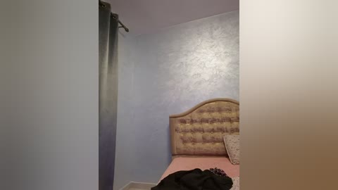 Media: Video of a small, simple bedroom with a light blue wall, a beige headboard, and a pink bedspread. A dark curtain is partially open on the left, and a black garment is draped on the bed.