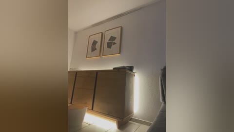 Media: A video of a minimalist, dimly-lit room with beige walls and a wooden dresser, featuring two black abstract paintings and a glowing floor lamp.