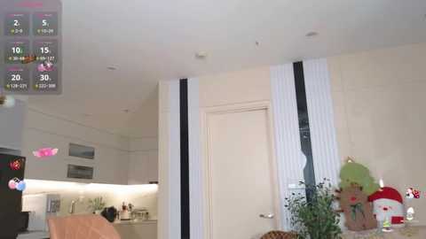 Media: Video of a modern kitchen with light walls, black vertical stripes, a white door, and a potted plant; a person in a chair to the left.