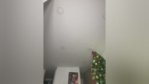 Media: A video of a modern, dimly lit attic with a white ceiling and recessed lights, featuring a small, decorated Christmas tree with colorful ornaments.