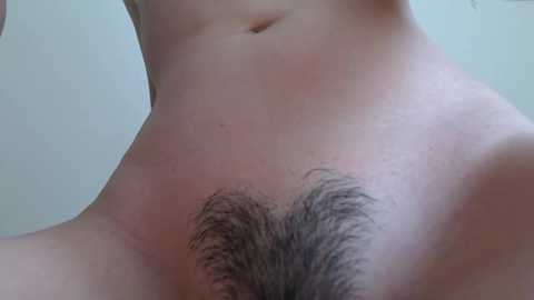 Media: Video of a light-skinned person's lower torso, showing a natural, dark pubic hair patch, with smooth skin and a faint navel, against a plain, light-colored background.