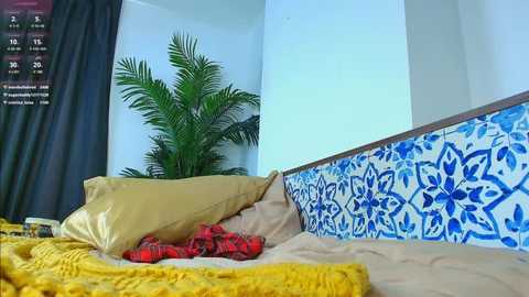 Media: Video of a modern bedroom with a blue and white floral-patterned headboard, a potted plant, a red plaid shirt, and a yellow throw blanket on a bed.