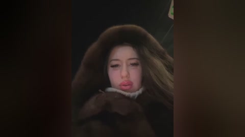 Media: A dimly lit video captures a close-up of a woman with fair skin, long blonde hair, and full lips, wearing a brown fur hat, partially obscured by a dark, shadowy figure.