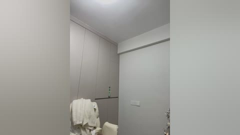 Media: A video of a minimalist bathroom with beige walls, a white towel hanging, a wall-mounted soap dispenser, and a closed toilet lid. The room is bright and clean, with a simple, modern design.