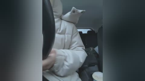 Media: Video of a person wearing a white, puffy jacket and a black motorcycle helmet, sitting in a car with a dog's head poking out from the front passenger seat, surrounded by blurred, dimly lit interior.