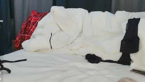 Media: Video of a white dog sleeping on a bed with a red plaid blanket and a black leash, surrounded by white bedding and dark curtains.