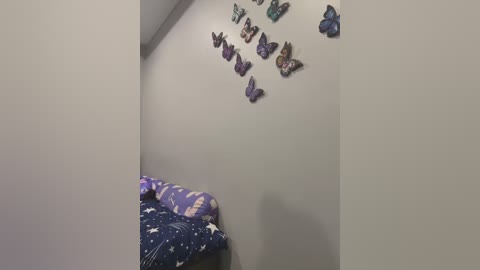 Media: Video of a child's small, simple room with a bed covered in a blue and white star-patterned duvet, featuring a butterfly wall decal above.