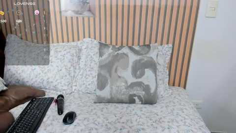 Media: Video of a bed with a gray floral-patterned duvet, a gray pillow, and a black mouse on a white keyboard. The background features vertical striped wallpaper and a framed photo.