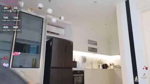 Media: A video of a modern kitchen with white cabinets, a black fridge, and a white microwave, featuring a digital camera on the left.