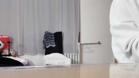 Media: A video of a minimalist bathroom with a white countertop, a silver towel rack, a black towel, and a red plush toy. The background features a large mirror and a white radiator.