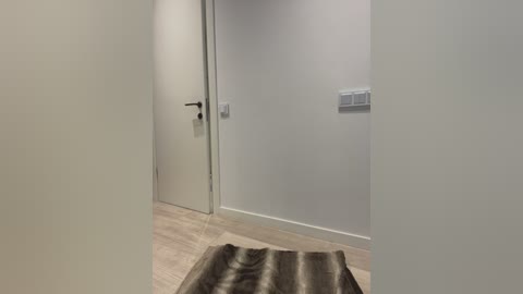 Media: Video of a minimalist hallway with light gray walls, a white door with a silver handle, and a beige rug.