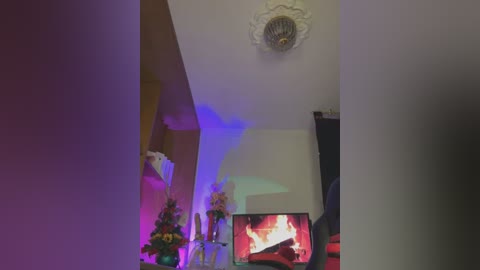 Media: A video of a living room with a ceiling fan, a TV displaying a fire, a floral arrangement, and a beige sofa, bathed in purple and blue lighting.