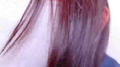 Media: Close-up video of a person's head with long, straight, reddish-brown hair, showing strands being combed with a comb. Background is blurred, focusing on the hair texture.