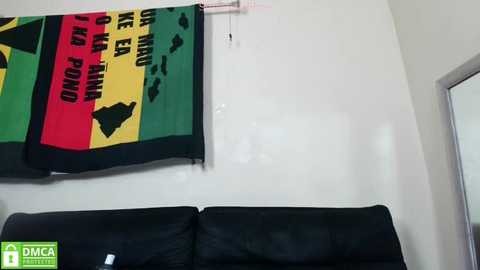 Video of a white wall with a large, colorful flag featuring green, yellow, red, and black stripes, hanging from a hook. Below, a black couch sits against the wall.