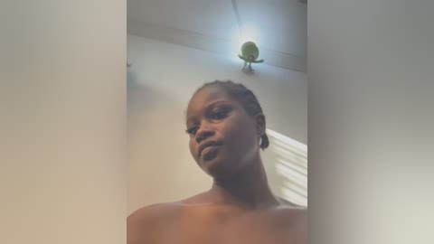 Media: Video of a dark-skinned woman with braided hair, wearing a green dress, standing in a brightly lit room with a chandelier.